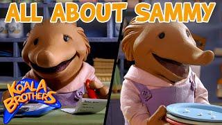 All About Sammy! ️  | @KoalaBrothersTV   | 20+ Mins | Animation for Kids