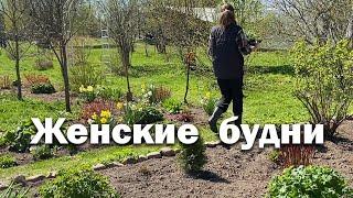 Женские будни//одна хозяйничаю на 40 сотках земли