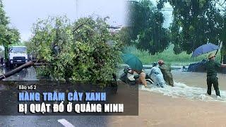 Bão số 2 đổ bộ vào Quảng Ninh, quật đổ hàng trăm cây xanh