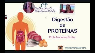 DIGESTÃO DE PROTEÍNAS | NUTRIÇÃO HUMANA