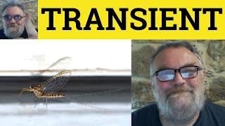  Transient Meaning - Transient Examples - Define Transience - Formal English