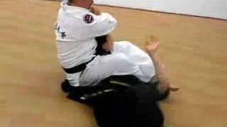 fantastic defence against punchs (Grand Master Kang-jun) (Korean Martial Arts)