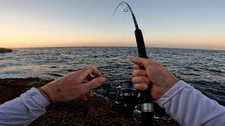 Fishing for a weekend of family events in Sydney  - Bugsy Fishing Ep 40   4K