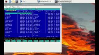 1-Wire eeprom programming with Raspberry