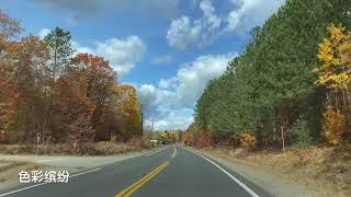 AUTUMN COLORS SCENIC CANADA ONTARIO Drive Through Fall Colors/ 赏枫之旅----Dorset / 多伦多周边好去处2020 /