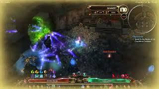 Grim Dawn Cold Drain Essence Reaper vs 151-170 3:48