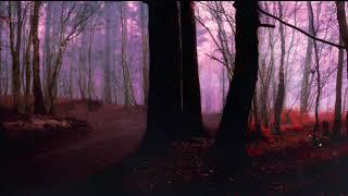 FREE NO COPYRIGHT FULL HD 60FPS SCREENSAVER NATURE FOREST FOG AMBIENCE DARK MYSTERY