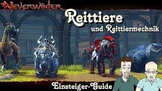 NEVERWINTER: Reittiere und Reittiermechanik -Einsteiger-Guide- Erklärungen für Anfänger PS4 deutsch