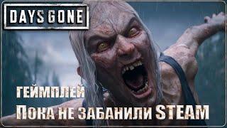 Days Gone - Жизнь После.