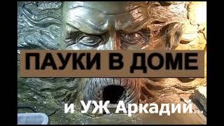 Гарри Поттер и УЖ Аркадий.