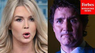 Karoline Leavitt Issues Direct Warning To Canada's Justin Trudeau Over His 'Outlandish Comments'