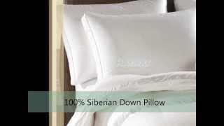 Goose Down Pillows Sale at Raymat