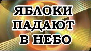 Живой Трансерфинг — Главные высказывания Вадима Зеланда из 5-й ступени Трансерфинга