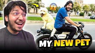 Dog Ko Bike Par Ride Di  | Public Ka Reaction  | Papa Abhi Be Bohat Gussa Mery Sy 