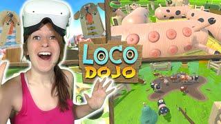 This Game is WILD - Loco Dojo VR on Quest 2