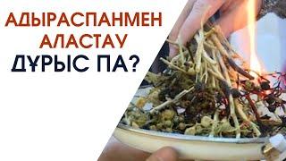 АДЫРАСПАНМЕН АЛАСТАУҒА БОЛА МА? | АБДУЛЛА ЖОЛДАС