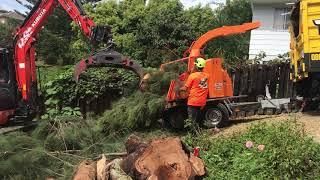 Jensen A141 XL, Alfa Contracts NZ LTD, Arbcon digger feeding