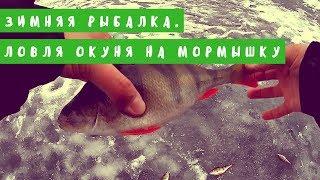 WhiteRiverUfa. Зимняя рыбалка. Ловля окуня на мормышку. Новогодняя рыбалка