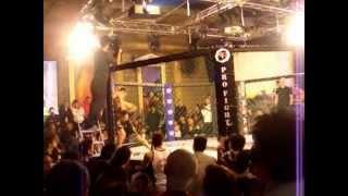 MMA Heavyweight Grandprix LUXY 2011