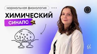 Нормальная физиология | Химический синапс