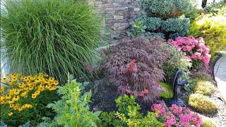 5 ways to Grow your landscaping Inexpensively or on a budget!