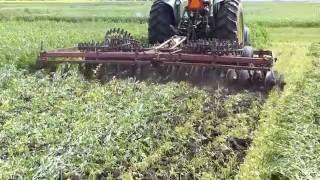 Tandem Disc - Green Manure Termination