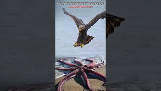 AMAZING! KING EAGLE CATCHES GIANT OCTOPUS