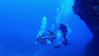 2018:09:29 臺灣潛水 Taiwan Dive Center  影片一