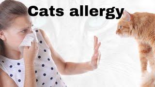 10 Best Hypoallergenic Cat Breeds for People With Allergies