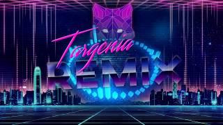  zVersee | Targenia Theme Disco Remix | Acoustica MixCraft 8