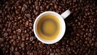 Where To Buy Robusta Coffee Beans | Where To Buy Robusta Coffee Beans Online