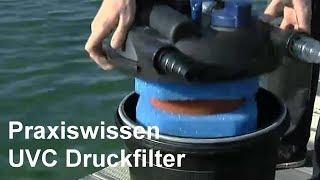 Teichfilter Ratgeber - UVC Druckfilter - Video:Einsatz und Anwendung von Druckfiltern im Gartenteich