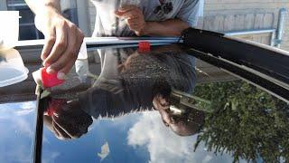 BEST WAY TO PROTECT FORD PANORAMIC SUNROOF?