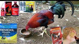 Tips Para Gumanda At Bumuka Ang Katawan ng Manok/Tips To Broaden Chicken's Body/Vlog#38