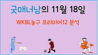 11월 18일 wkbl분석 , 프리미어12분석 , 스포츠분석 , 프로토분석