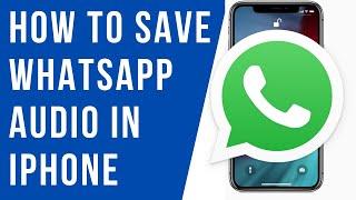 How to Save Audio Files from WhatsApp in iPhone I How to Save WhatsApp Audio in iPhone