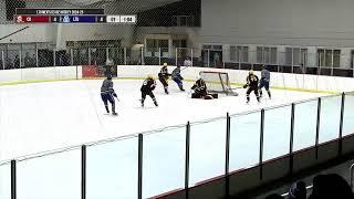 LTU D3 Men's Hockey | LTU vs Calvin University | 1/10/25