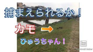 Hyu-chan told me to catch a duck on the riverside  The idea is amazing!  !!  (3 years ago.)2020/4