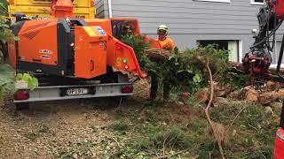 Jensen A141 XL, Alfa Contracts NZ Ltd, Tree King Auckland excavator feed