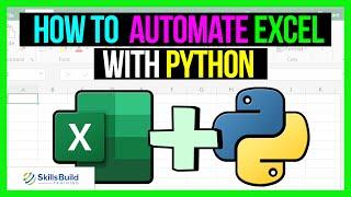  How To Automate Excel with Python Using OpenPyXL