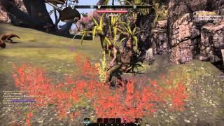 Elder Scrolls Online - Bot respawning harvest nodes