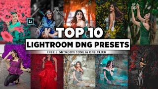 Lightroom Mobile Top 10 Dng Presets || Lightroom Mobile Free Presets Download || New Top 10 Presets