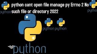 python cant open file manage py Errno 2 No such file or directory  eRROR