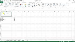 How to Insert Diagonal Line to A Cell in Excel