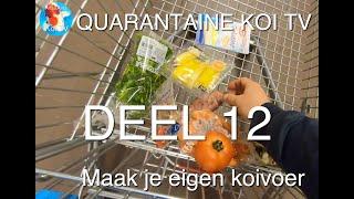 Quarantaine Koi TV deel 12 zelf koivoer maken!