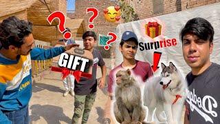 SW Pet House Wale Waleed Bhai Se Surprise Gift Mila  Ah Pets Vlog