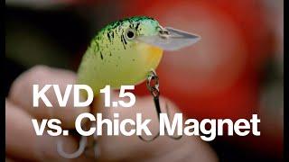 KVD compares the 1.5 to the new Chick Magnet - Crankbait Bass Fishing lure review with Strike King