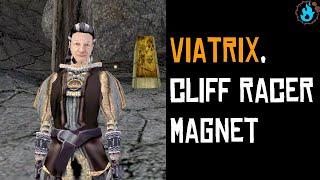 Viatrix, The Annoying Pilgrim - Side Quest Walkthrough (TES III Morrowind)