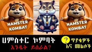 ሀምስተር ኮምባት ምንድነው እንዴትስ ይሰራል? ጥያቄዎችና መልሶች | what is hamster kombat | Misrak Media