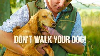 Don't Walk your Dog!